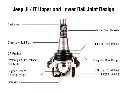 BJ160_BJ161Cutaway_1200x.webp
